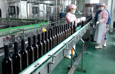 瀘州老窖進軍紅酒業:中馬欽州產業園區紅酒生產項目開工